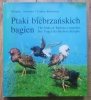 Grzegorz, Stanisław i Tomasz Kłosowscy Ptaki biebrzańskich bagien